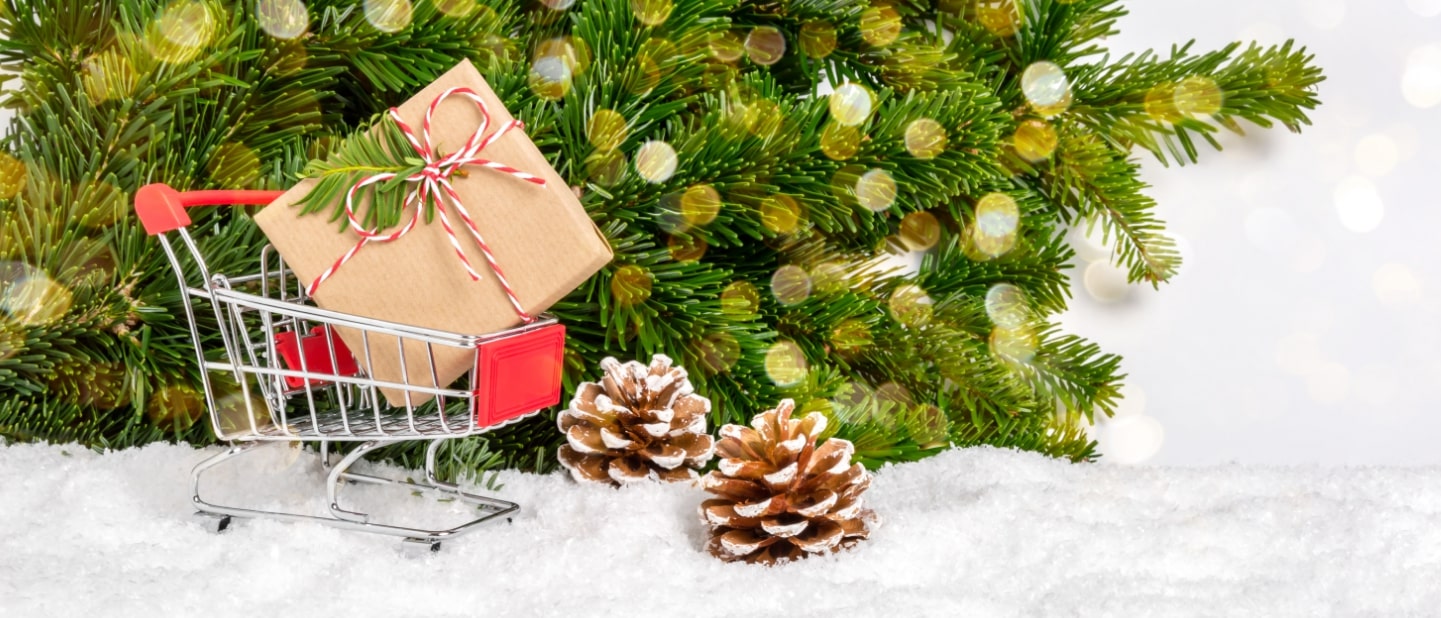 Optimizing Your Retail Strategy for the Holiday Season